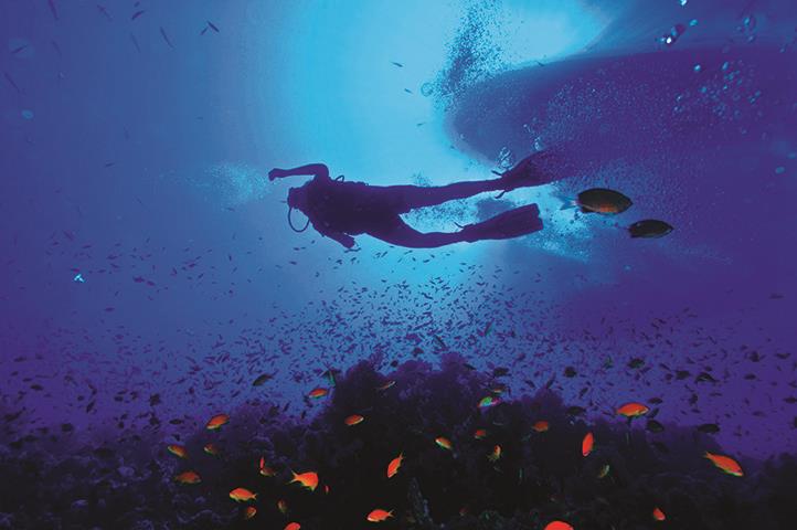 Eco-Friendly Diving Destinations